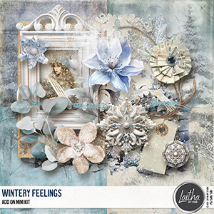 Wintery Feelings - Add On Mini Kit