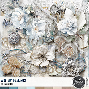 Wintery Feelings - Kit Essentials