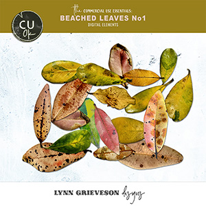 Beached Leaves No1 CU elements by Lynn Grieveson