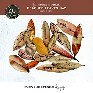 Beached Leaves No2 CU elements by Lynn Grieveson