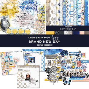 Brand New Day Collection by Lynn Grieveson