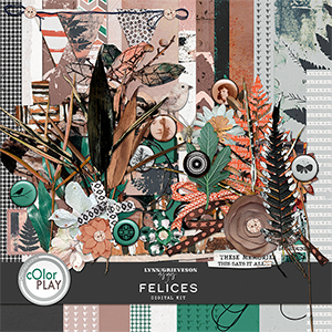 Felices Digital Scrapbook Kit by Lynn Grieveson