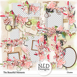 The Beautiful Moments Clusters By NLD Designs