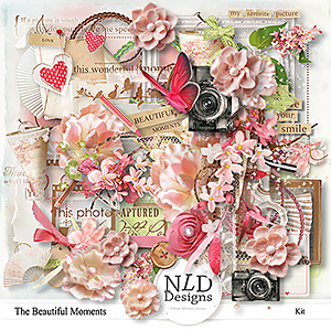 The Beautiful Moments Kit & Free Alpha+Wordarts By NLD Designs