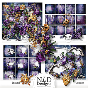 Incanto Collection By NLD Designs