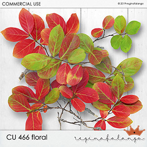 CU 466 FLORAL