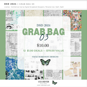 2024 DSD Dollar Days Super Saver Grab Bag 03