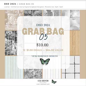 2024 DSD Dollar Days Super Saver Grab Bag 05