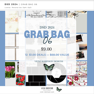 2024 DSD Dollar Days Super Saver Grab Bag 06