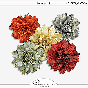 Flowers 86 (CU) by Wendy Page Designs