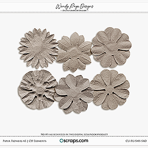Paper Flowers 45 (CU) by Wendy Page Designs  