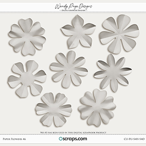 Paper Flowers 46 (CU) by Wendy Page Designs   