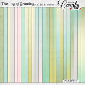 The Joy of Growing-Solid and Ombre
