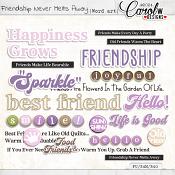 Friendship Never Melts Away-Word art