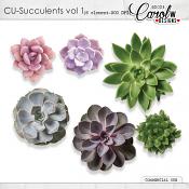 CU Mix vol 1-succulents