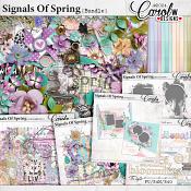 Signals Of Spring-Bundle