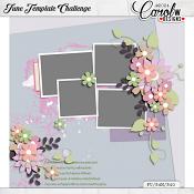 June Template Challenge-CarolW Designs